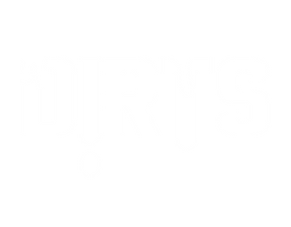 DIRTS